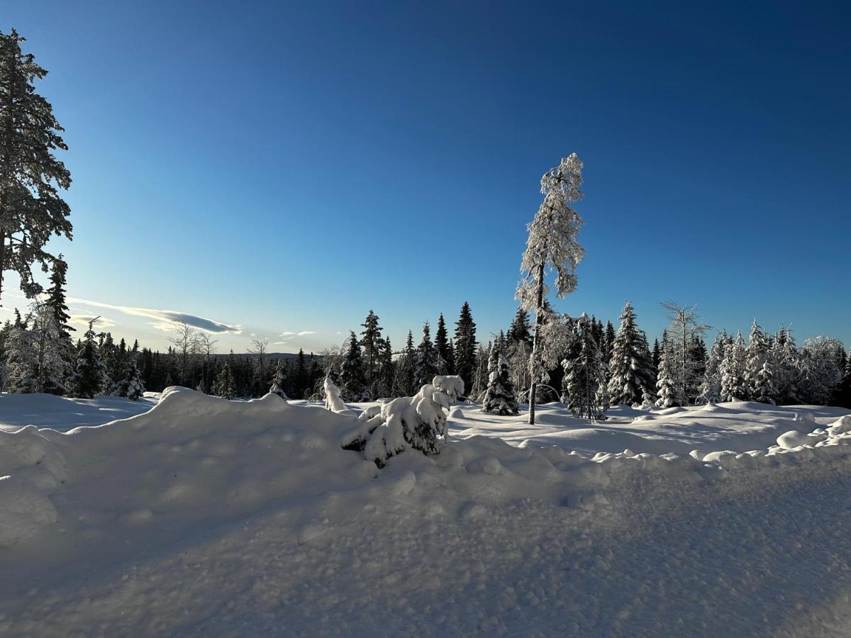 Sore Osen Orbekken Torberget Exteriér fotografie