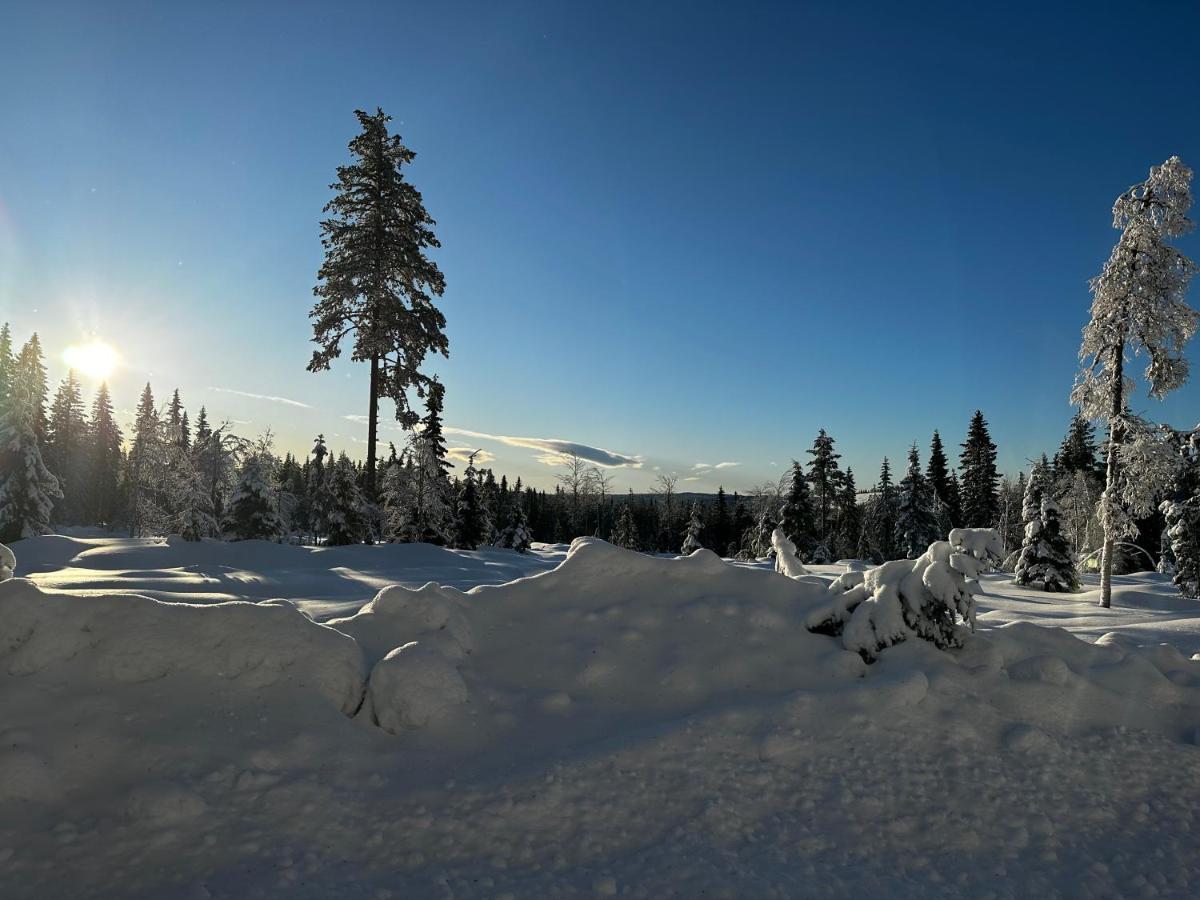 Sore Osen Orbekken Torberget Exteriér fotografie
